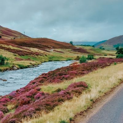 Schottland4